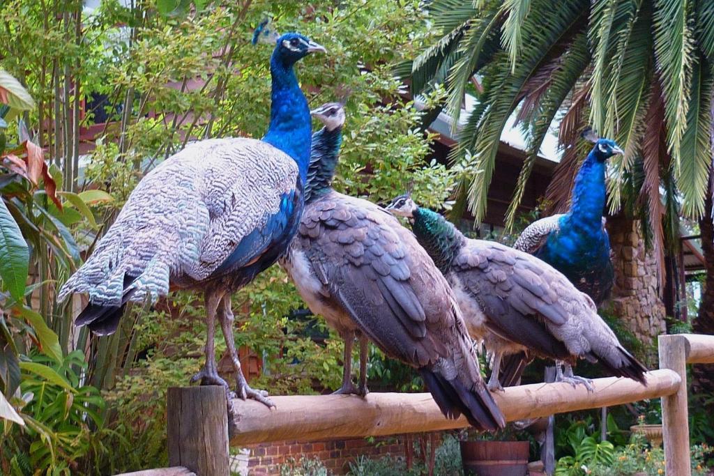 Margaret River Hideaway & Farmstay Exterior photo